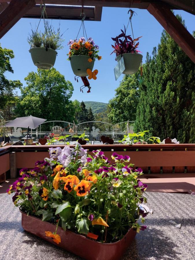 Hotel Zum Poppschen Gut Olbernhau Exteriér fotografie